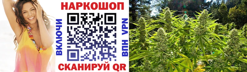 Все наркотики Салаир Каннабис  Меф 