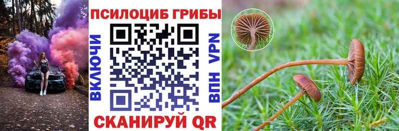 Псилоцибиновые грибы Cubensis  продажа наркотиков  это Telegram  Салаир 